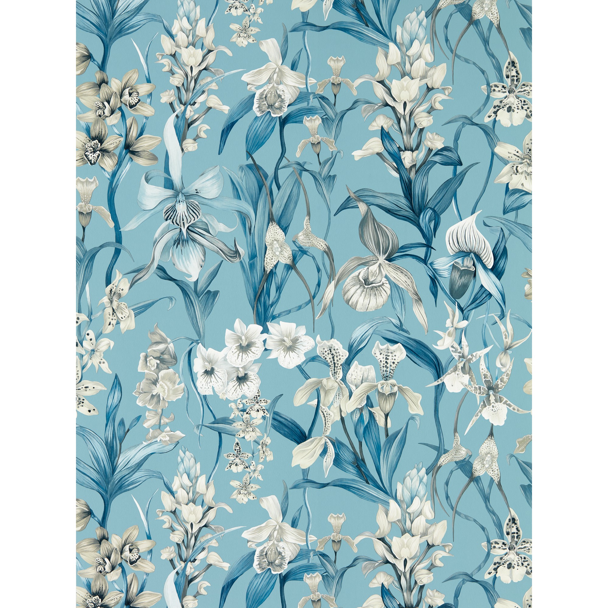 Kalina Wallpaper 113008 By Harlequin In Celestial Murmuration Awakening